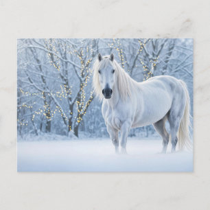 Cartão Postal De Festividades Cavalo de Natal Luzes na Neve