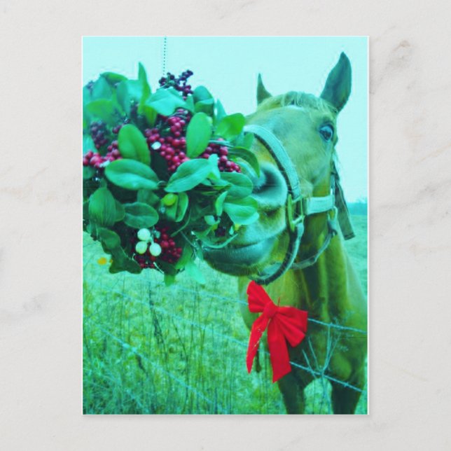 Cartão Postal De Festividades Cavalo de Teal de Natal Mistletoe (Frente)