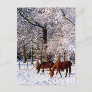Cartão Postal De Festividades Cavalos Criados na Neve