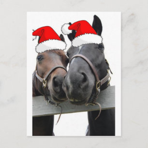 Cartão Postal De Festividades Cavalos de Natal