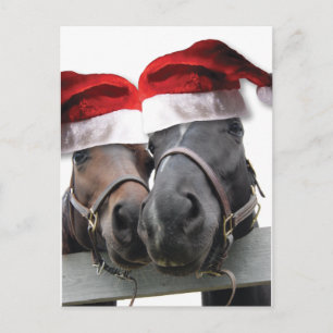 Cartão Postal De Festividades Cavalos De Natal Com Chapéus De Pai Natal