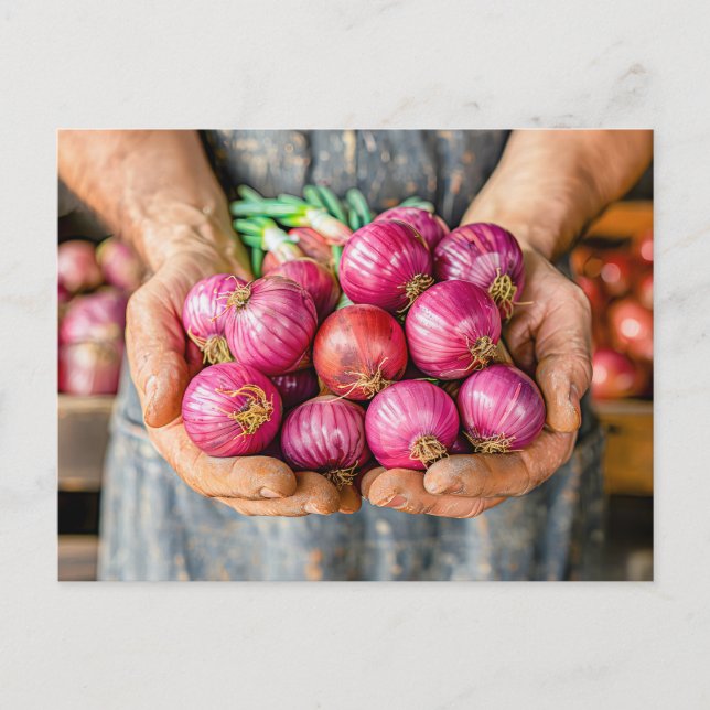 Cartão Postal De Festividades Cebolas vermelhas frescas na posse do agricultor (Frente)
