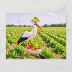 Cartão Postal De Festividades Cegonha em Pé Desajeitadamente no Canteiro de Sala