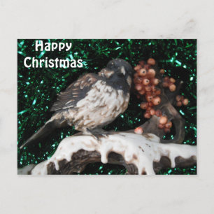 Cartão Postal De Festividades Cena de inverno do Pássaro Postal