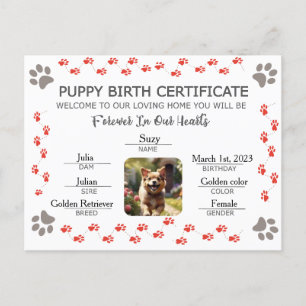 Cartão Postal De Festividades Certificado de Nascimento de Puppy Personalizado