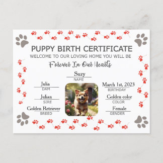 Cartão Postal De Festividades Certificado de Nascimento de Puppy Personalizado
