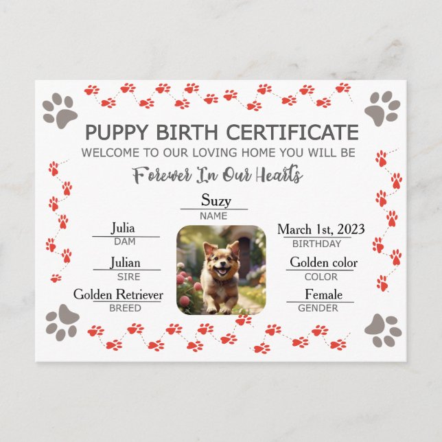 Cartão Postal De Festividades Certificado de Nascimento de Puppy Personalizado (Frente)