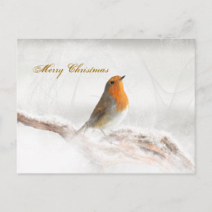 Cartão Postal De Festividades Chá de neve Robin Redbreast