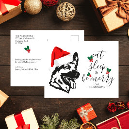 Cartão Postal De Festividades Chapéu de Papai Noel engraçado para o Pastor Alemã