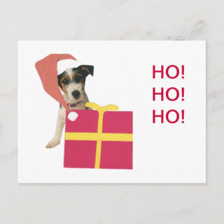 Cartão Postal De Festividades Chapéu do papai noel de Jack Russell Terrier