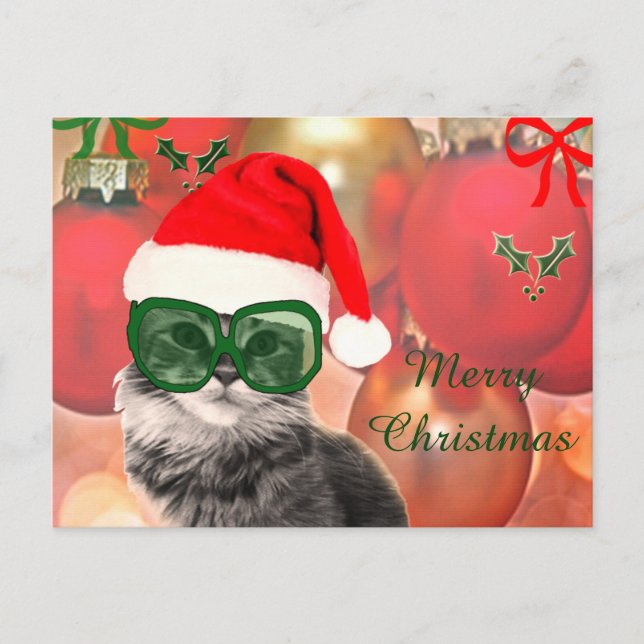 Cartão Postal De Festividades Chapéus de visto de Gato de Natal (Frente)