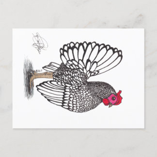 CARTÃO POSTAL DE FESTIVIDADES CHICKEN
