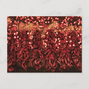 Cartão Postal De Festividades Chili ristras with holiday lights