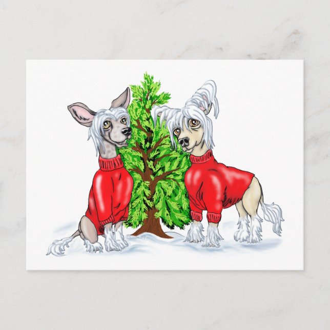 Cartão Postal De Festividades Chinese Crested Christmas Tree (Frente)
