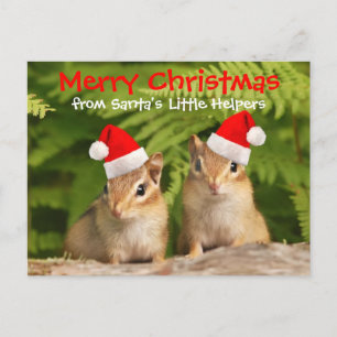 Cartão Postal De Festividades Chipmunks pequenos do bebê dos ajudantes do papai
