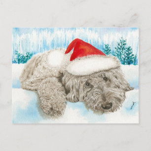 Cartão Postal De Festividades Chocolate Labradoodle do Natal