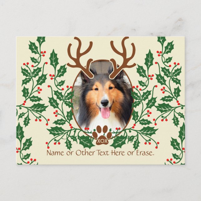 Cartão Postal De Festividades Christmas Antlers For Dog / Cat Personalize Photo (Frente)