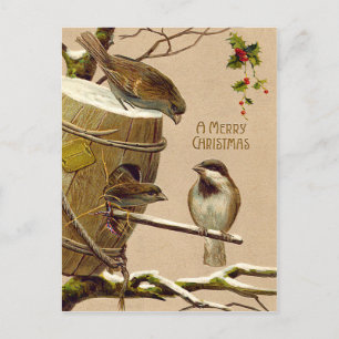 Cartão Postal De Festividades Christmas Bird Sparrow Birdhouse Holly