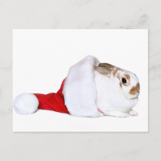 Cartão Postal De Festividades Christmas bunny (Frente)