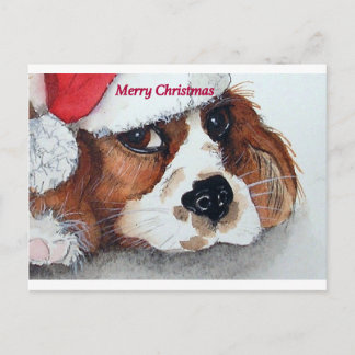Cartão Postal De Festividades Christmas Cavalier King Charles Spaniel