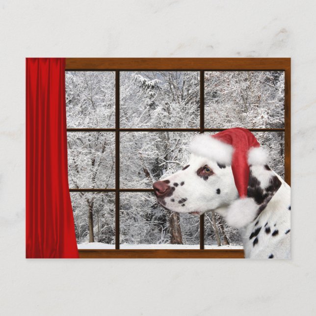 Cartão Postal De Festividades Christmas dalmatian (Frente)