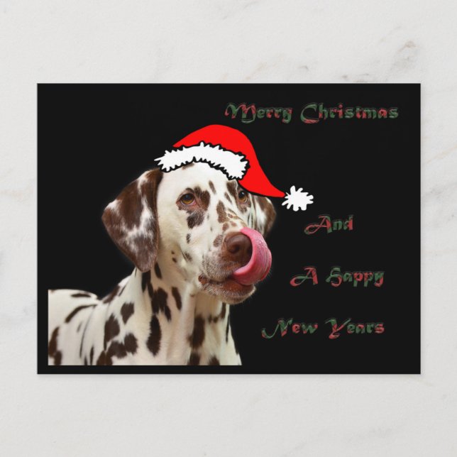 Cartão Postal De Festividades Christmas Dalmatian Postcard (Frente)