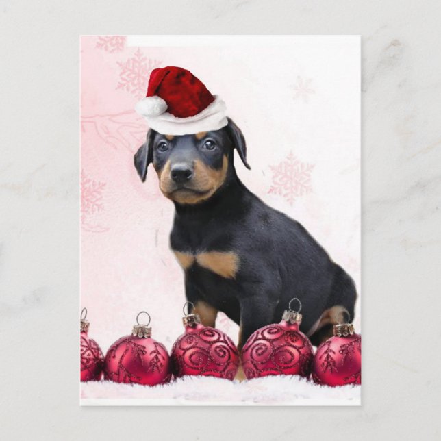Cartão Postal De Festividades Christmas Doberman puppy (Frente)