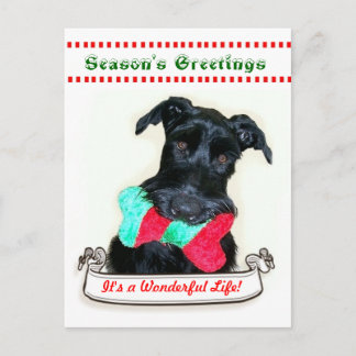 Cartão Postal De Festividades Christmas Dog It's a Wonderful Life