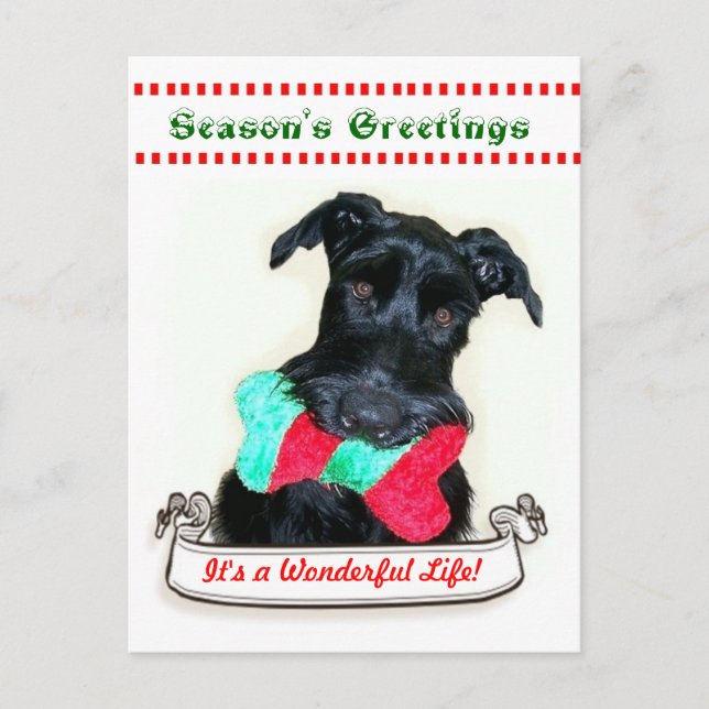 Cartão Postal De Festividades Christmas Dog It's a Wonderful Life (Frente)