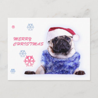 Cartão Postal De Festividades Christmas dog pug in santa hat
