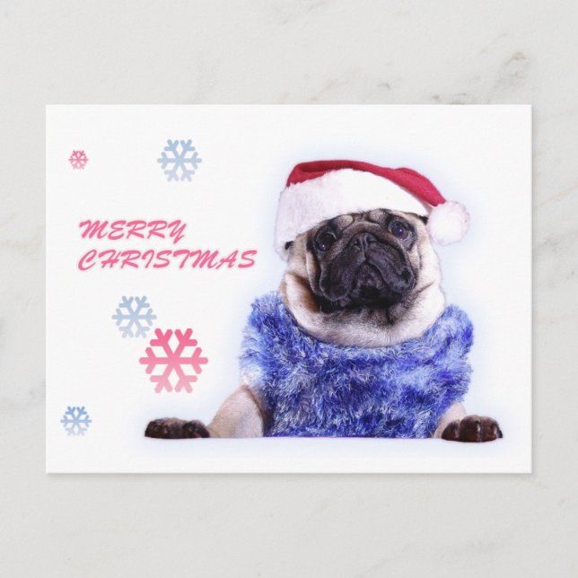 Cartão Postal De Festividades Christmas dog pug in santa hat (Frente)