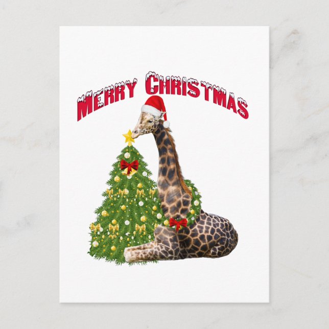 Cartão Postal De Festividades Christmas Giraffe (Frente)
