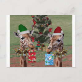 Cartão Postal De Festividades Christmas Giraffes