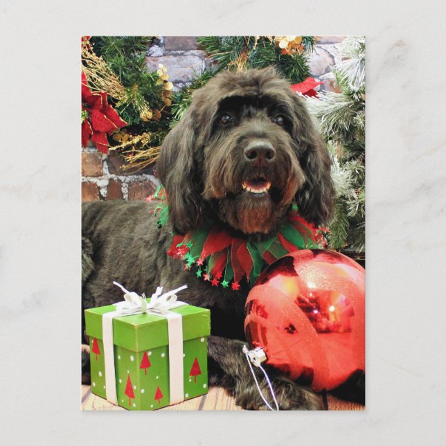 Cartão Postal De Festividades Christmas - GoldenDoodle - Dutch (Frente)