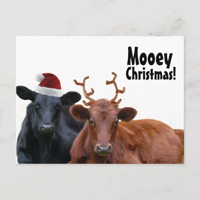 Cartão Postal De Festividades Christmas Holiday Cows in Santa Hat and Antlers (Frente)