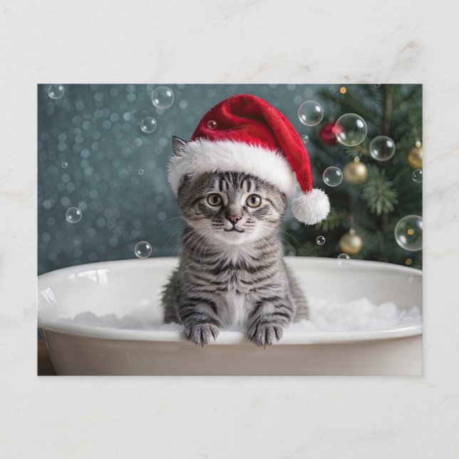 Cartão Postal De Festividades Christmas Holiday Cute Kitten Cat in Bubble Bath  (Frente)