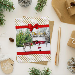 Cartão Postal De Festividades Christmas Joy and Peace Photo