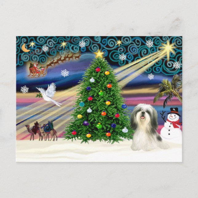 Cartão Postal De Festividades Christmas Magic Shih Tzu 4 (Frente)