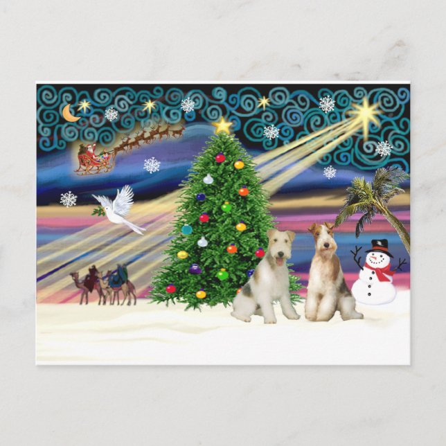Cartão Postal De Festividades Christmas Magic - Wire Fox Terriers (two) (Frente)