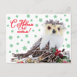 Cartão Postal De Festividades Christmas New Year Wise Owl Vintage Rustic