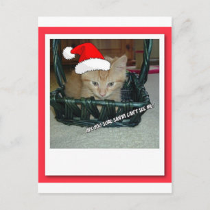 Cartão Postal De Festividades Christmas Orange Tabby Kitten