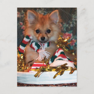 Cartão Postal De Festividades Christmas Puppy