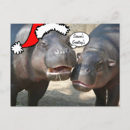 Cartão Postal De Festividades Christmas Santa Hippo postcard