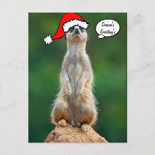 Cartão Postal De Festividades Christmas Santa prairie dog gopher postcard (Frente)