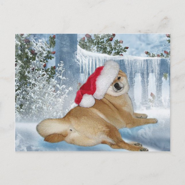 Cartão Postal De Festividades Christmas Shiba Inu Postcard (Frente)