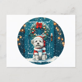 Cartão Postal De Festividades Christmas Shih Tzu Dogs