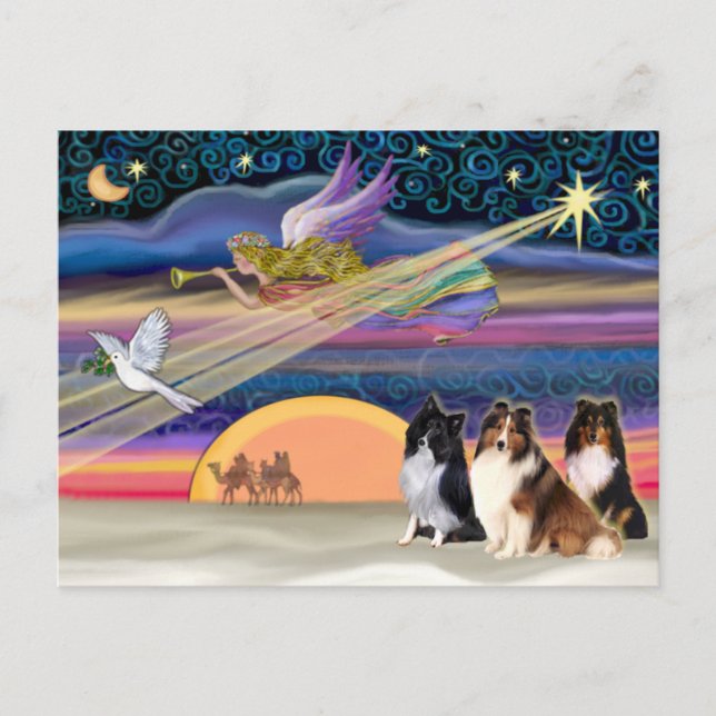 Cartão Postal De Festividades Christmas Star - Shetland Sheepdogs (three) (Frente)