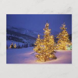 Cartão Postal De Festividades Christmas trees, Park City, Wastch Mountains,