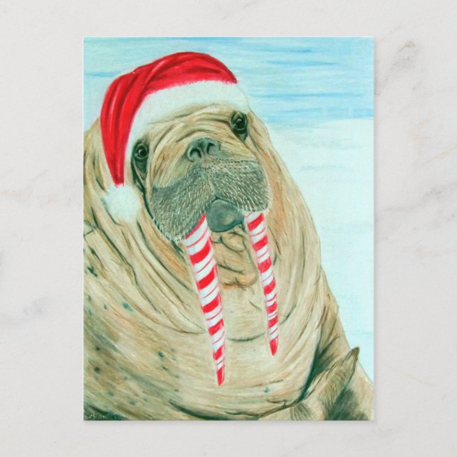 Cartão Postal De Festividades Christmas Walrus (Frente)
