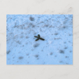 Cartão Postal De Festividades Christmastime em Nova Inglaterra